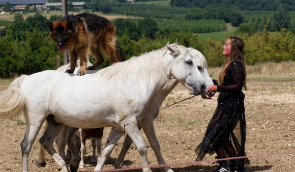 26ème Foire de la Vache Grasse : 28 Juillet 2025